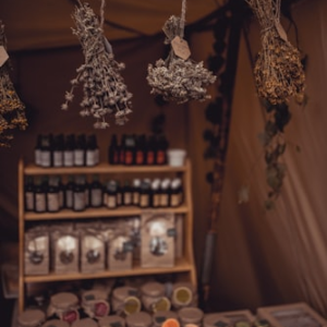 Physiognomy Study Guide