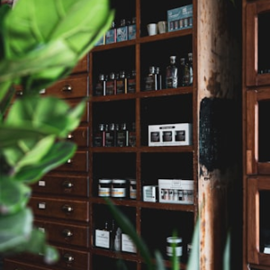 Therapeutic Skills Workshop